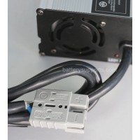 24V 29.4A 25A Lithium ion Battery Charger 7S 7x 3.6V Lion LiPO 24V 29.4A 25A Lithium ion Battery Charger 7S 7x 3.6V Lion LiPO