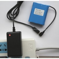 Li-ion GPS Tracker Mini USB 4.2V 2A Wall Socket Battery Charger